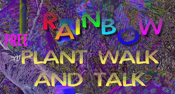 Plant Walk and Talk